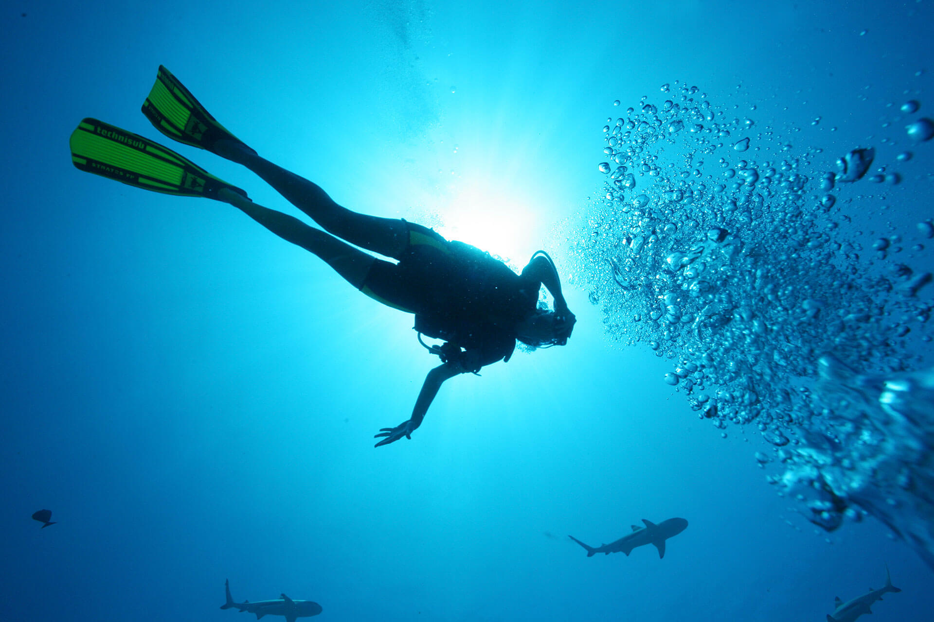 Diving French Polynesia