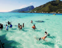 | Blue Tahiti Travel Exciting Shark Feeding Tour in the Vibrant Lagoon of Moorea, a Thrilling Highlight for Couples Seeking Adventure During Their French Polynesia Honeymoon.